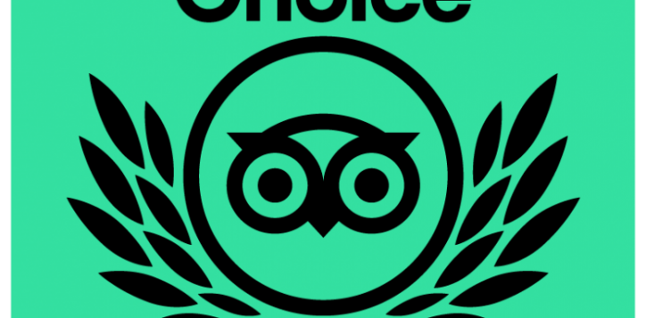 tc_2021_botb_l_green_bg_rgb-01-2