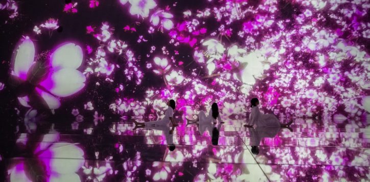 teamlab_package-2