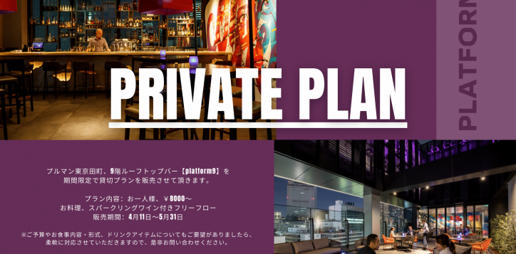 private-plan-flyer-landscape-pdf-1-2