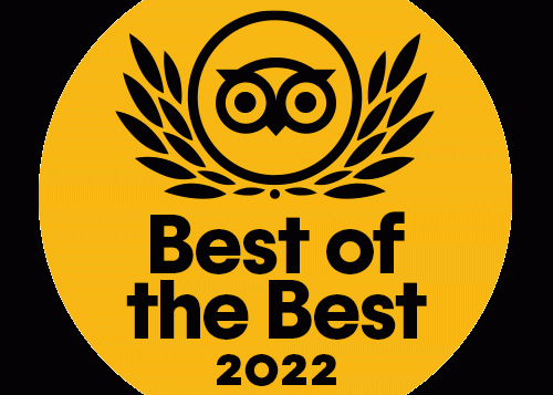 animation-tc_tcbotb_2022-2