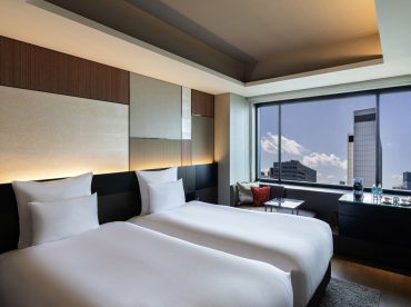 Pullman clearance hotel pillows