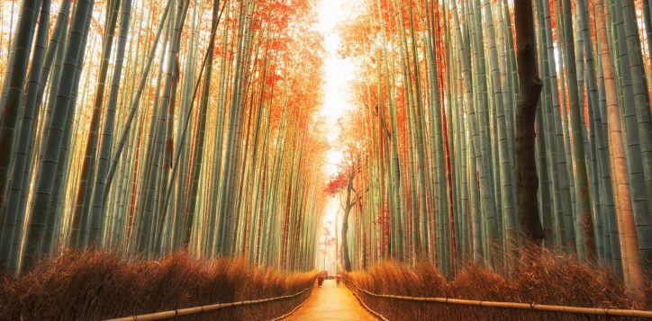 istock-577319648-2