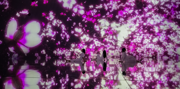 floating-in-the-falling-universe-of-flowers_cherry-blossoms_05-small-2