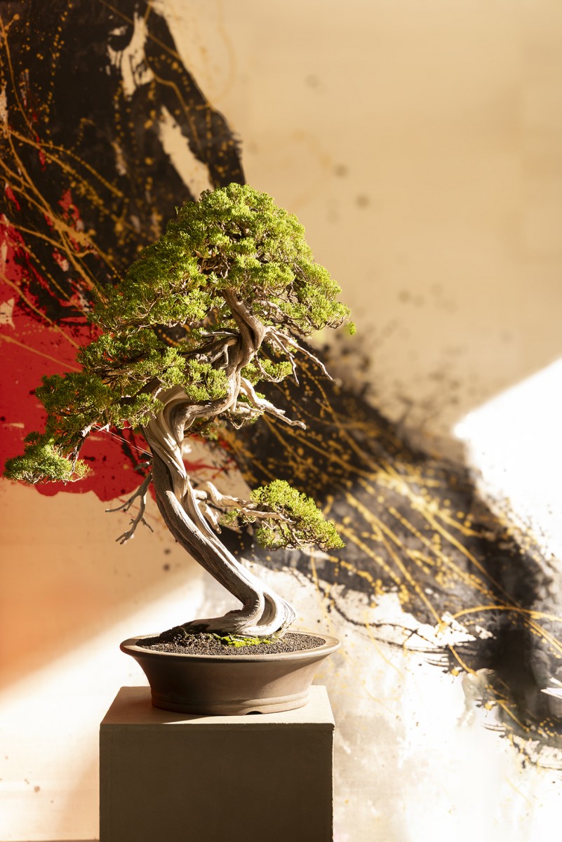 Celebrating 8 Years: Creating Value for a Sustainable Future