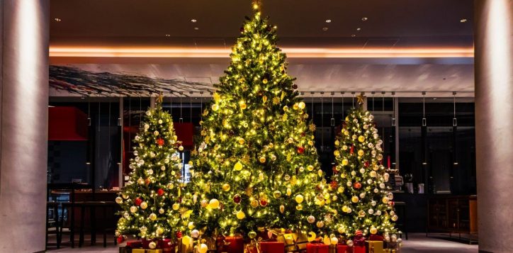 20241104_pullmantamachi-01-4-2